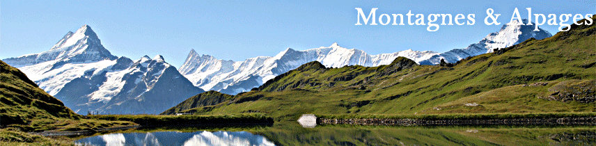 Chalet & int�rieur, d�coration de montagnes, d�coration savoyarde, d�coration alpine, alpes et d�coration, chalet et d�coration, meubles savoyards