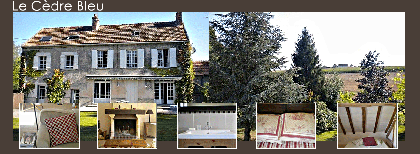 Location saisonnire, vacances, week-end, grand gte, famille, demeure charme, 6 chambres, 14 personnes, Seine-et-Marne, 1 heure, paris, champagne, Brie, Disneyland, Reims, pernay, Provins